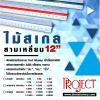 ไม้สเกลสามเหลี่ยม 12" Project